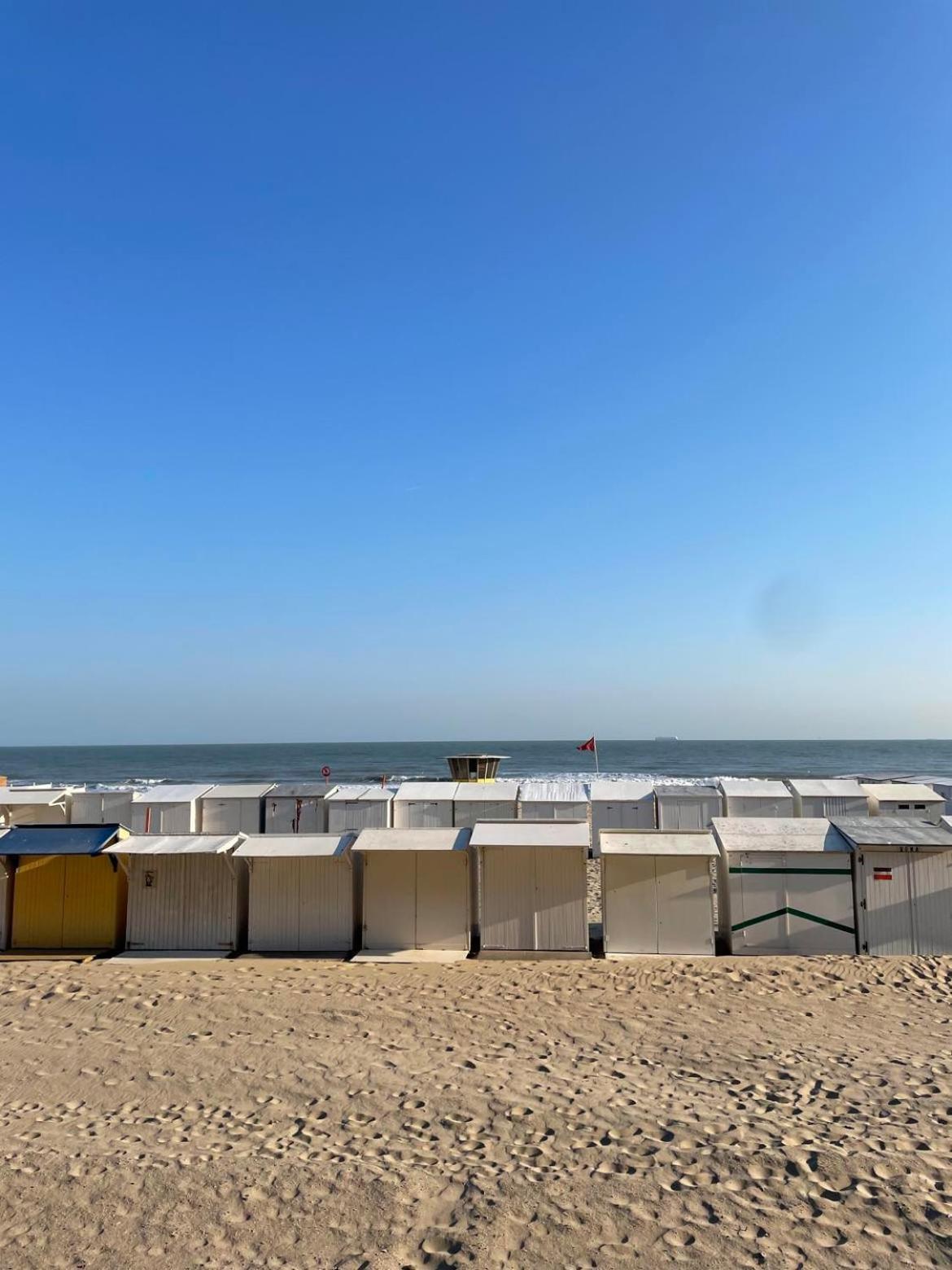 Ferienwohnung C-Dream Blankenberge Exterior foto
